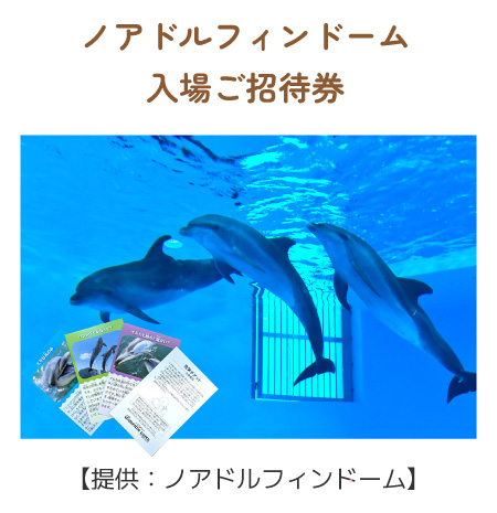 ノアドルフィンドーム入場ご招待券